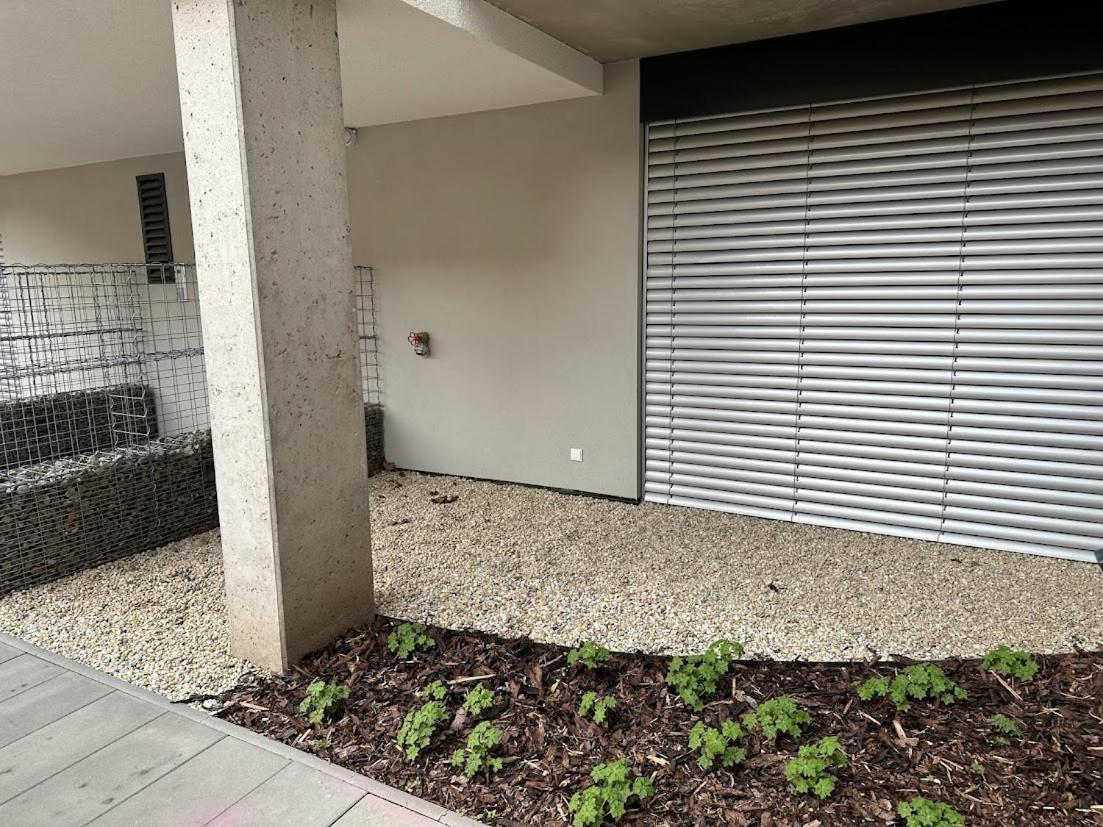 Bella Apartments برنو المظهر الخارجي الصورة