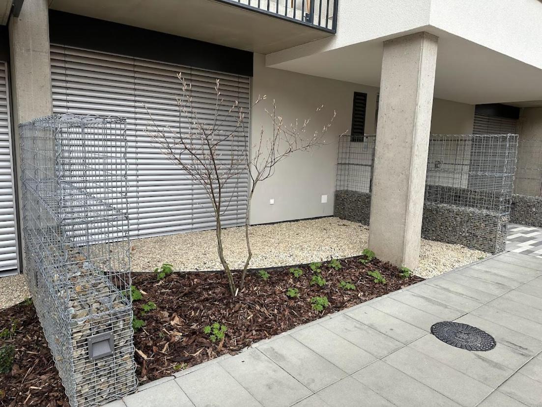 Bella Apartments برنو المظهر الخارجي الصورة